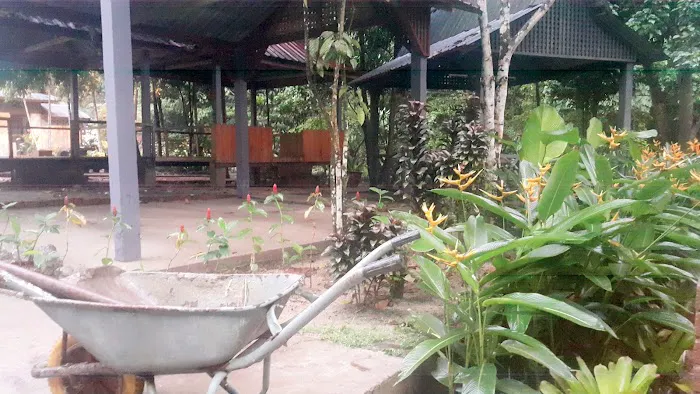 Laman Taman Rimba Sendayu Picture 5