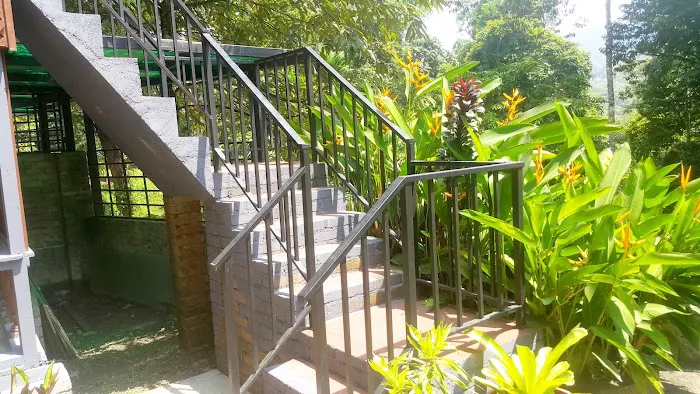 Laman Taman Rimba Sendayu Picture 9
