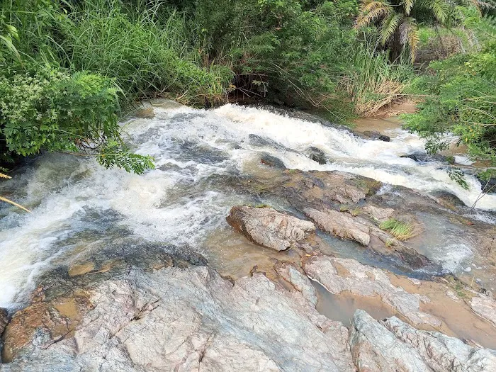 Lata Tampin Picture 3