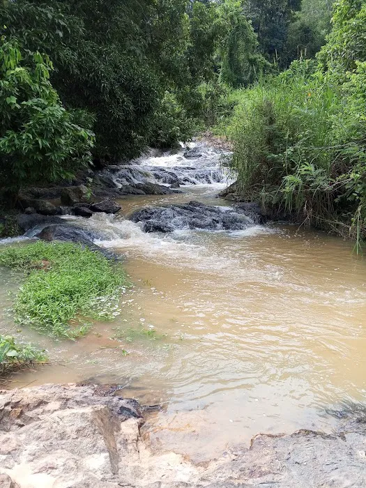 Lata Tampin Picture 4