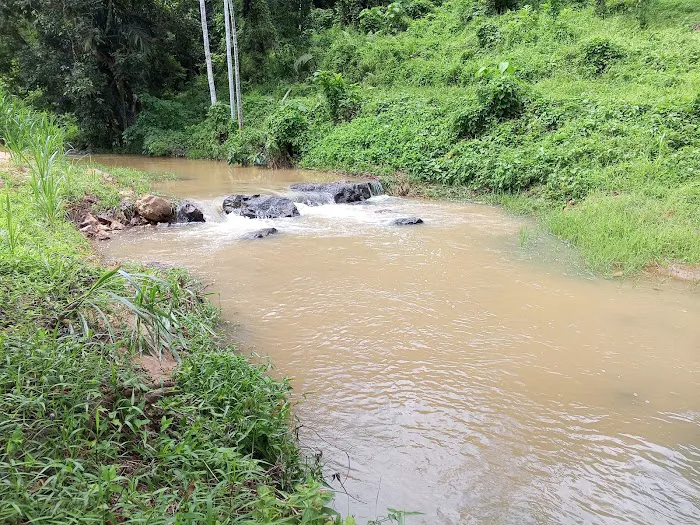 Lata Tampin Picture 2