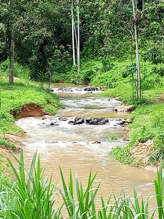 Lata Tampin Picture 1