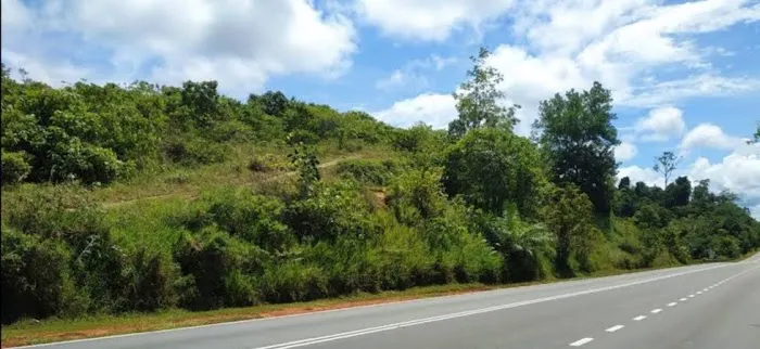 Bukit Rong, Pulau Tawar Picture 4