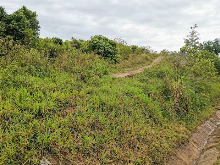 Bukit Rong, Pulau Tawar Picture 6