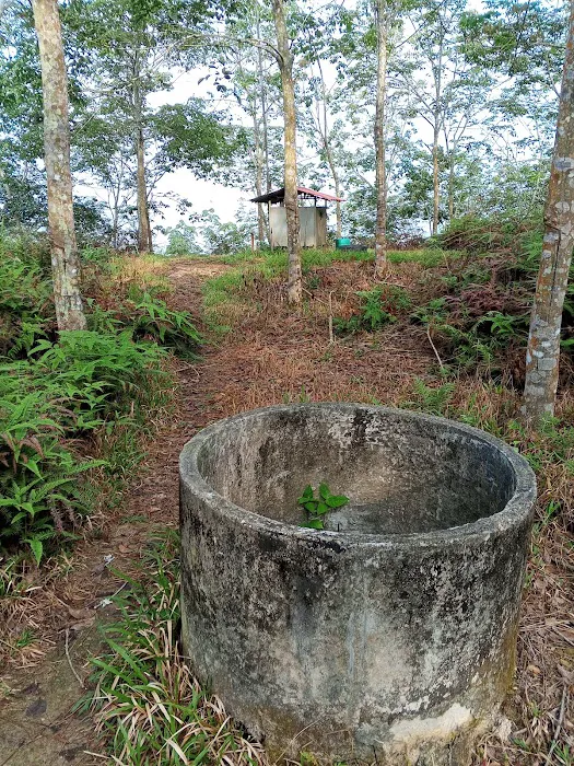 Bukit seladang Picture 7