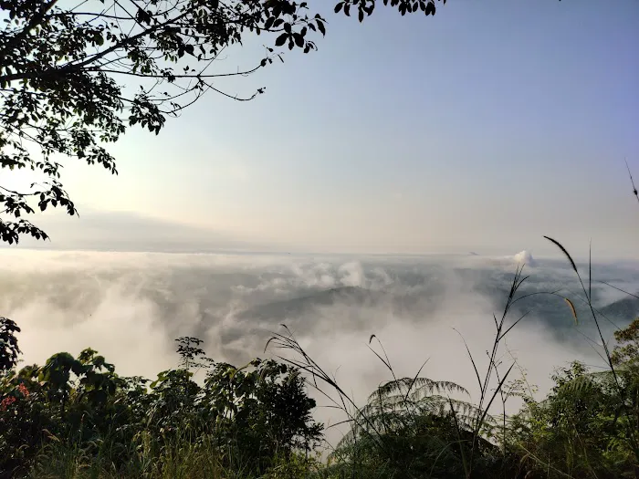 Bukit seladang Picture 5