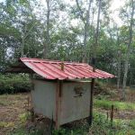 Bukit seladang
