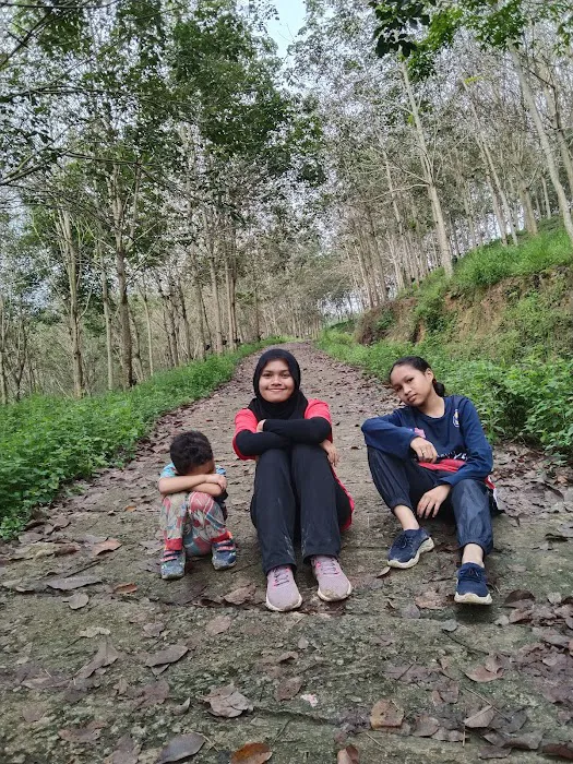 Bukit seladang Picture 6
