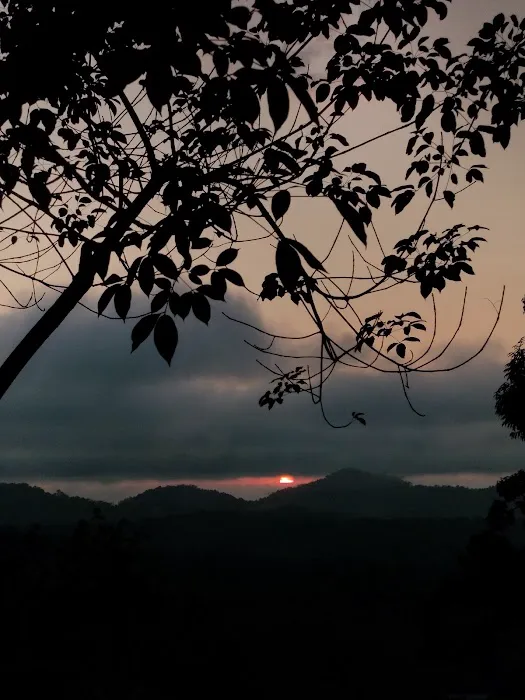 Bukit seladang Picture 10