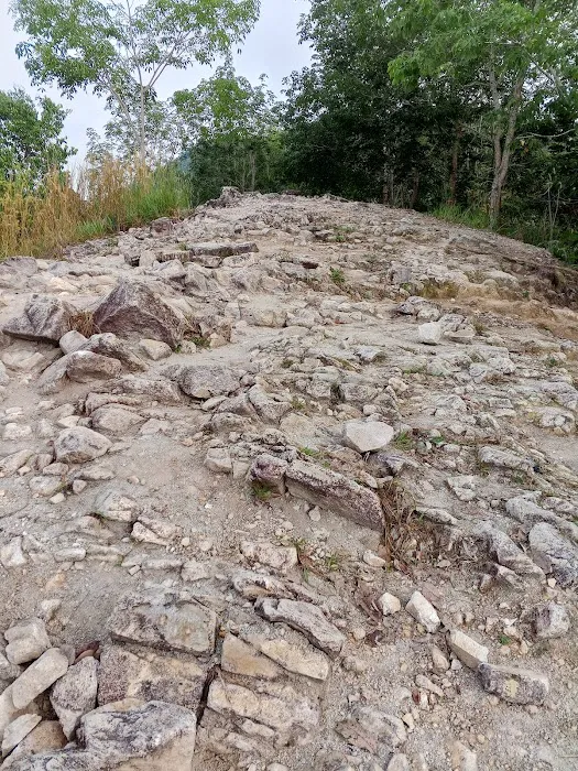 Bukit seladang Picture 9