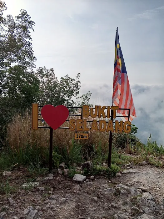Bukit seladang Picture 3