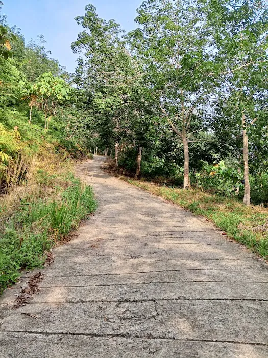 Bukit seladang Picture 4