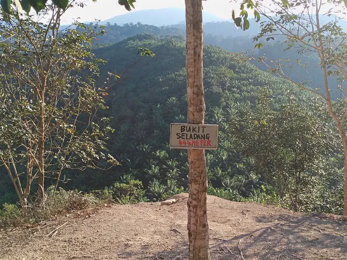 Bukit seladang Picture 8