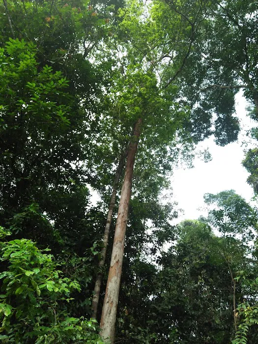 Kem Sri Gading UiTM Cawangan Pahang Kampus Jengka Picture 2