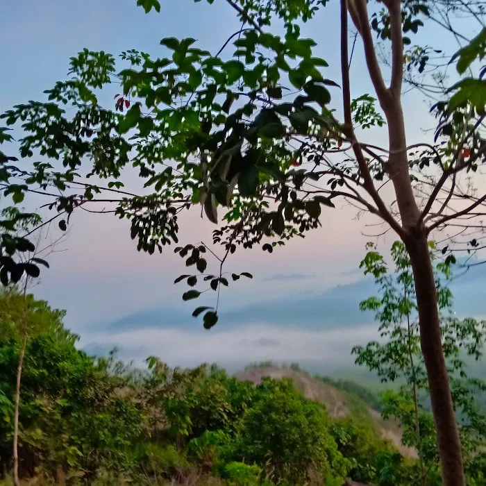 Bukit Seladang View Point Picture 5