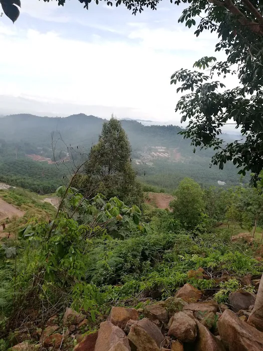 Bukit Seladang View Point Picture 2