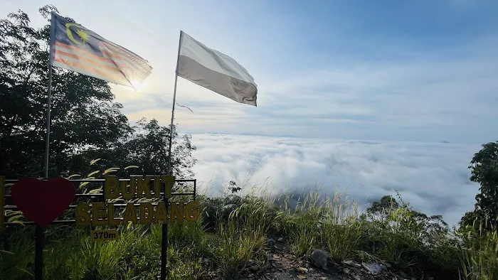 Bukit Seladang View Point Picture 3