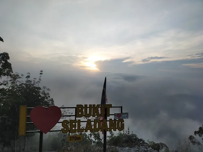 Bukit Seladang View Point Picture 8