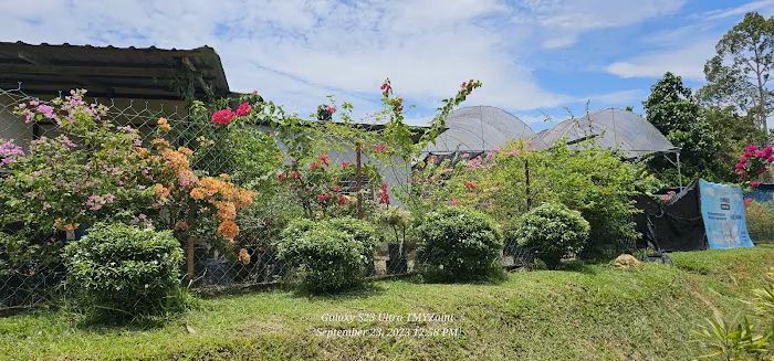 Taman Awam Jengka Picture 5