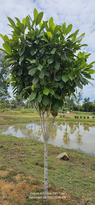 Taman Awam Jengka Picture 4