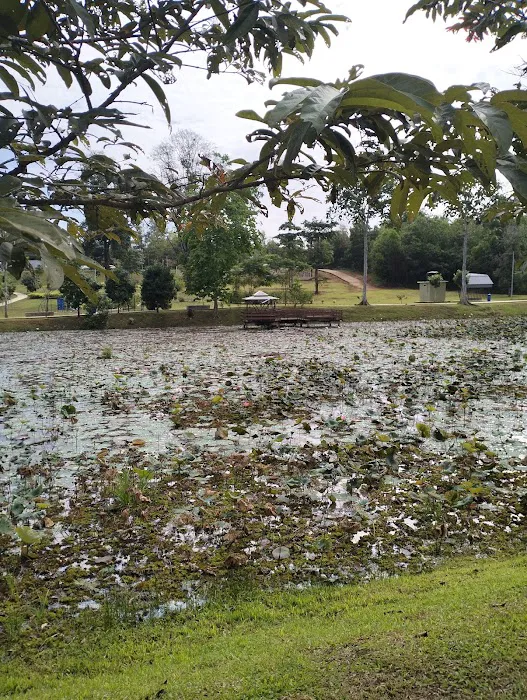 Taman Awam Jengka Picture 6