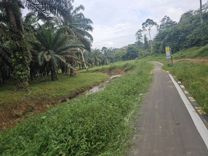 Denai Sungai Kebangsaan @ Sungai Jengka Picture 2