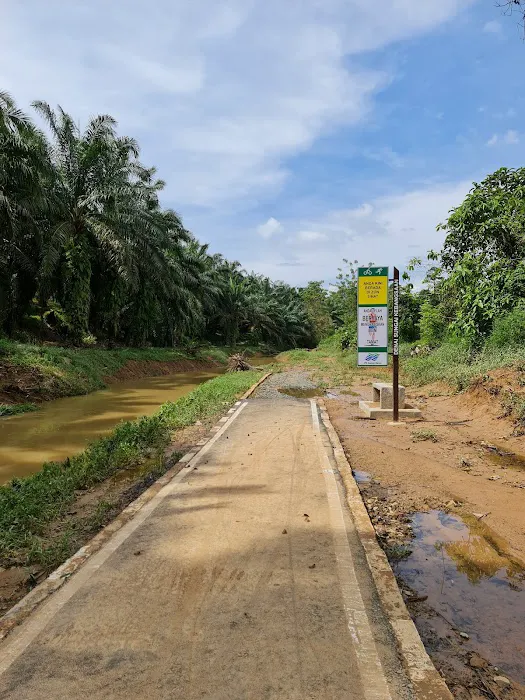 Denai Sungai Kebangsaan @ Sungai Jengka Picture 3