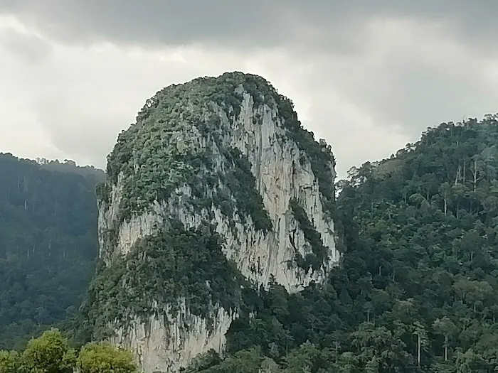 Forest Bar @ Templer Park Picture 1