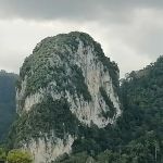 Forest Bar @ Templer Park