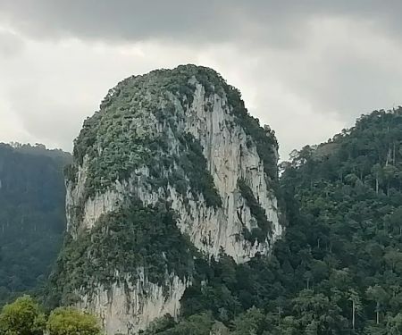 Forest Bar @ Templer Park