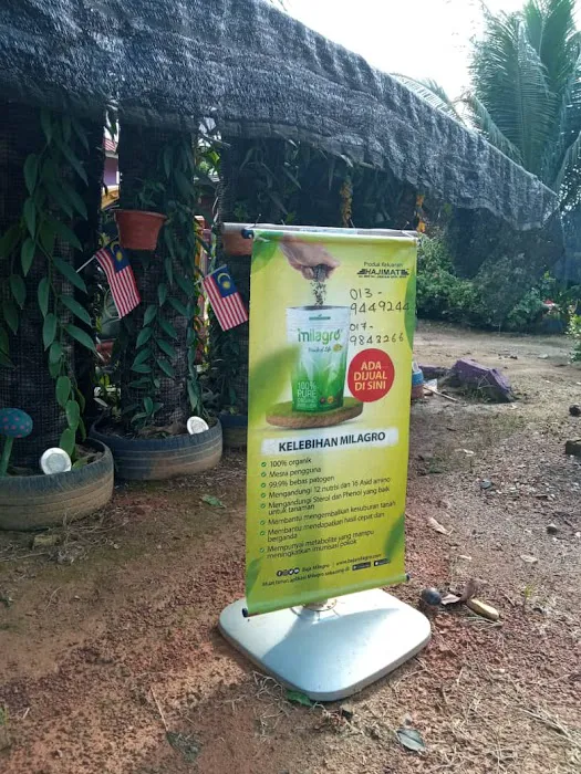 MILAGRO JENGKA 11 Picture 1