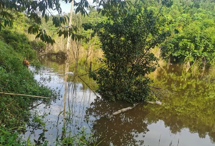 Tortoise Lake Picture 2