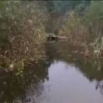 Tortoise Lake