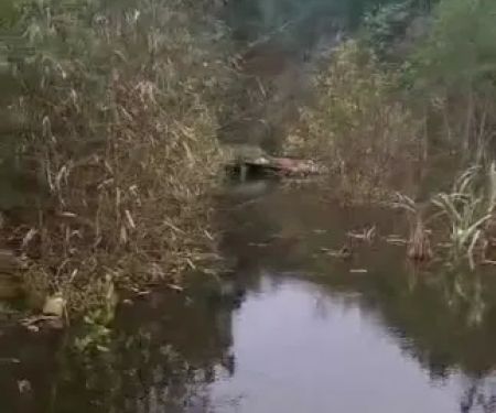 Tortoise Lake
