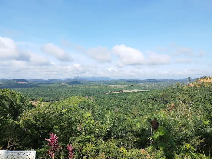 Jengka Hill [Bukit Jengka] Picture 5