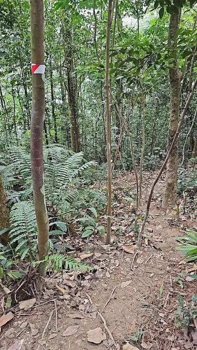 Wild Dog Stop Picture 1