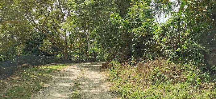 Danong Durian Village Picture 1