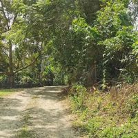 Danong Durian Village ico