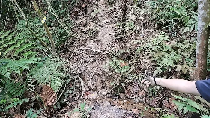 Fairview Stream Picture 1