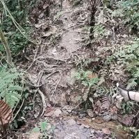 Fairview Stream ico