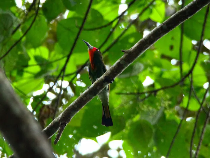 Bentong wildlife santuary Picture 2