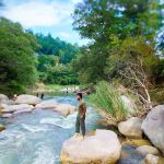 D'Kasai Riverside (monkey rock)