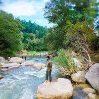 D'Kasai Riverside (monkey rock) ico