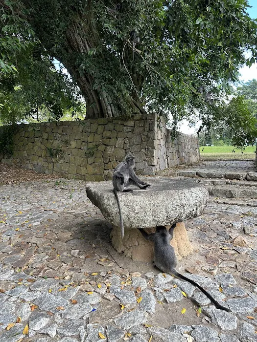 Batu Hampar Picture 4