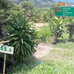 Bentong Timur Exit