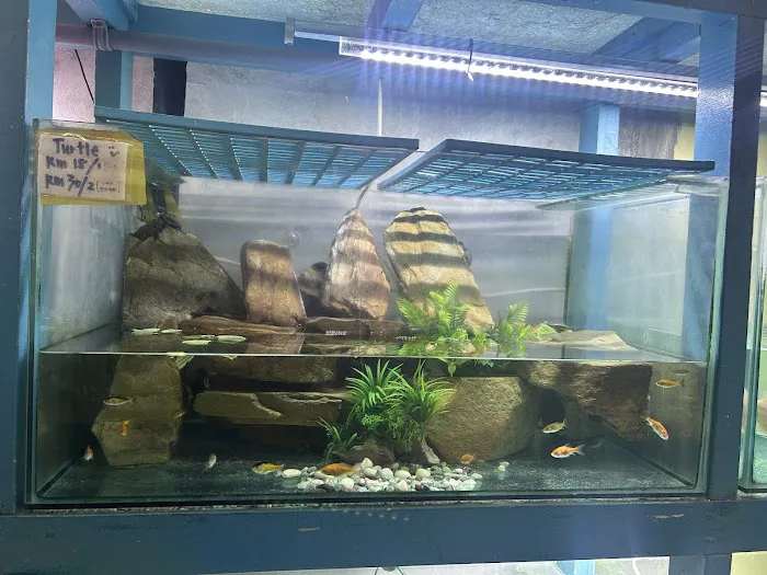My Aquatic Shop Picture 1