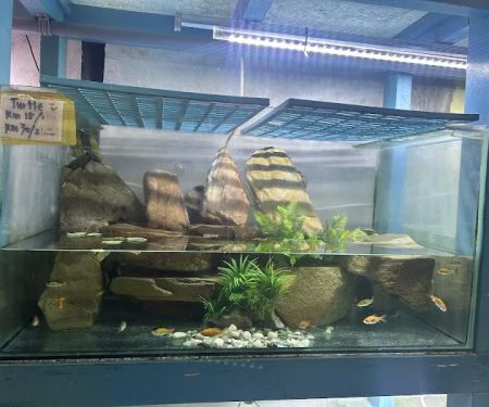 My Aquatic Shop