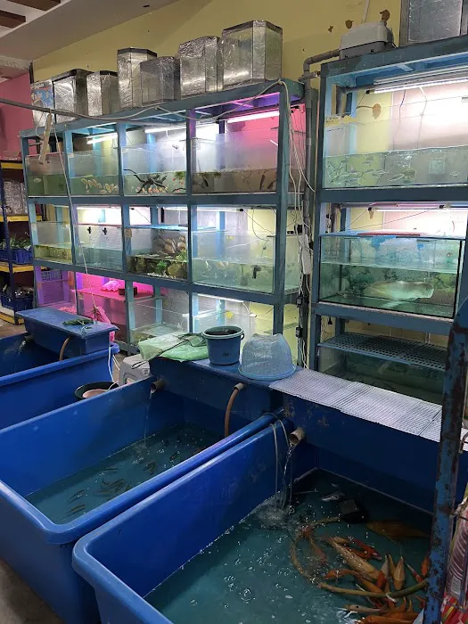 My Aquatic Shop Picture 5