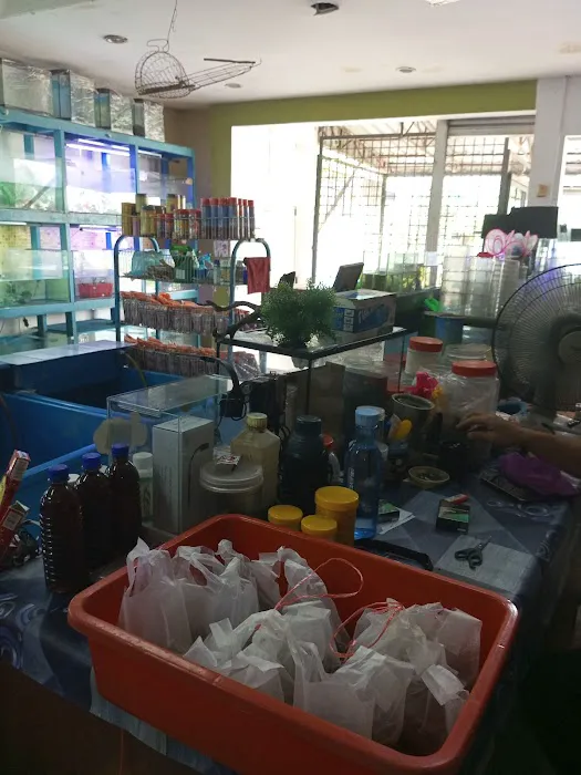 My Aquatic Shop Picture 2