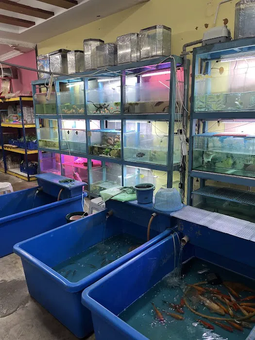 My Aquatic Shop Picture 4